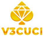 v3cuci Logo
